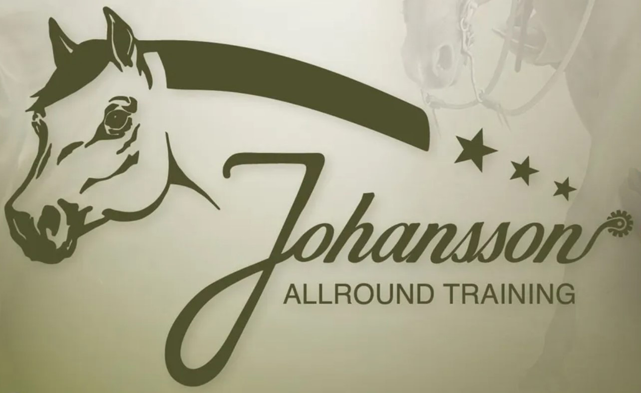 logo johansson.ch